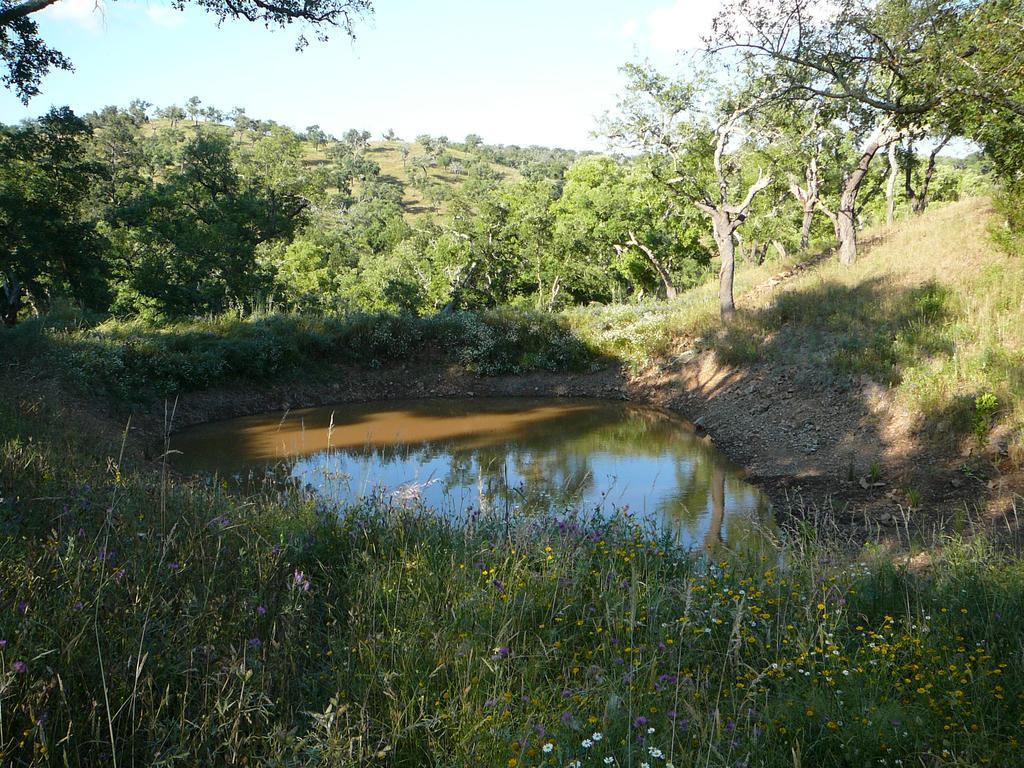 Monte Da Ameira Roncão Exterior foto